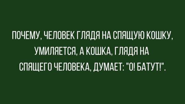 Анекдоты дня: лучшие шутки и мемы за 22 декабря